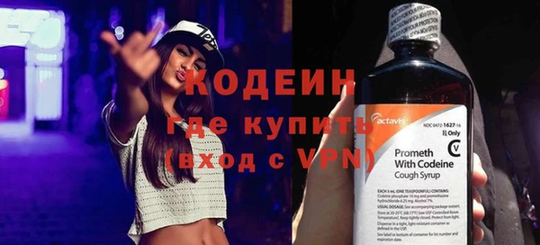 эйфоретик Гусь-Хрустальный