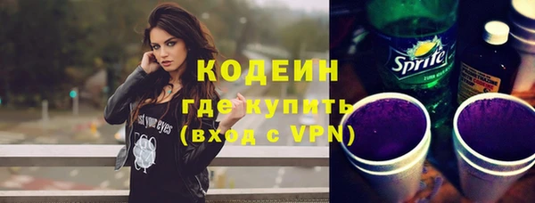 эйфоретик Гусь-Хрустальный