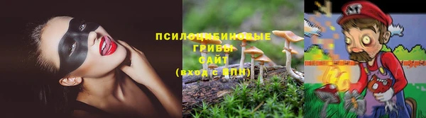 гашишное масло Гусев