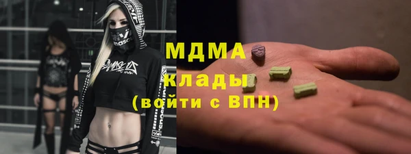 эйфоретик Гусь-Хрустальный