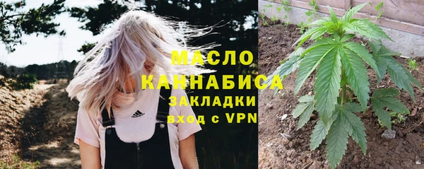 эйфоретик Гусь-Хрустальный