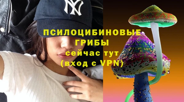 круглые Гусиноозёрск