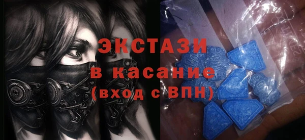 эйфоретик Гусь-Хрустальный