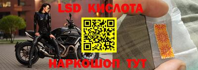 стафф Берёзовский