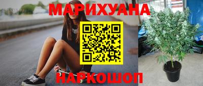 стафф Берёзовский