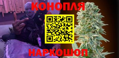 jwh Бийск