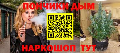 jwh Бийск