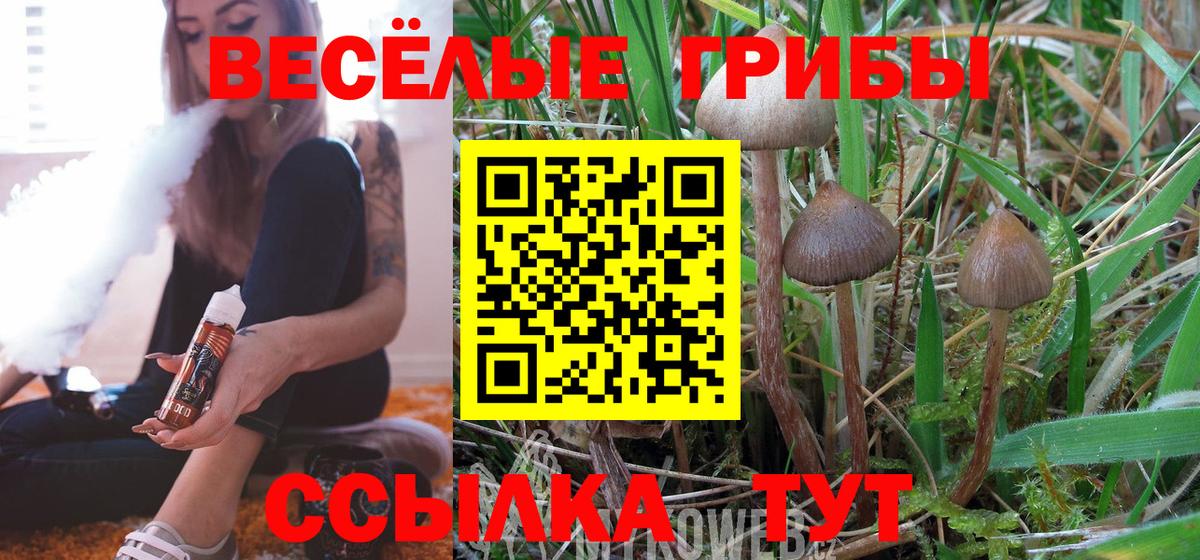 Галлюциногенные грибы мухоморы Волжский
