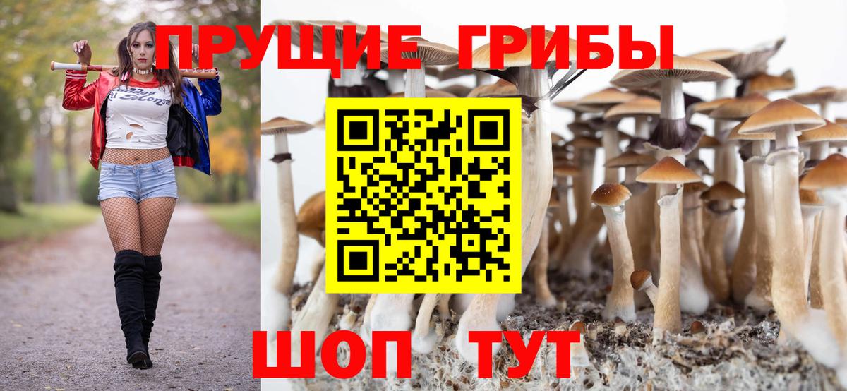 Псилоцибиновые грибы мухоморы Волжский